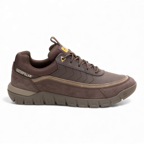 Gatto caterpillar versage - gatto,